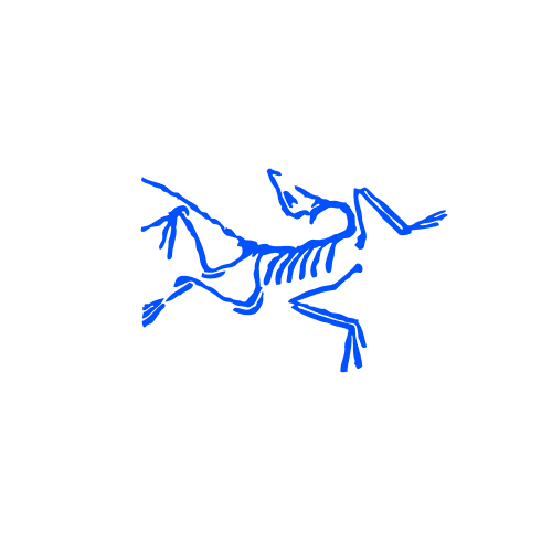 Arc’teryx